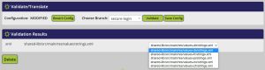 Localyzer Express Validate Save.jpg